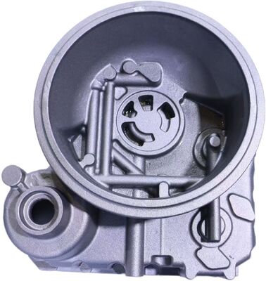 OEM 유효한 회색 철 주물 바위산 - 지게차를 위한 사기 케이스
