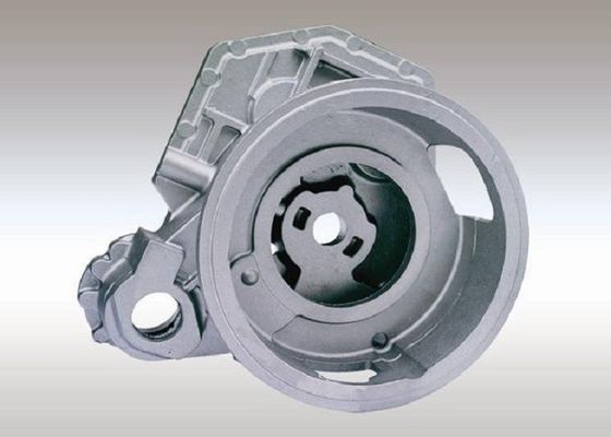 OEM 유효한 회색 철 주물 바위산 - 지게차를 위한 사기 케이스